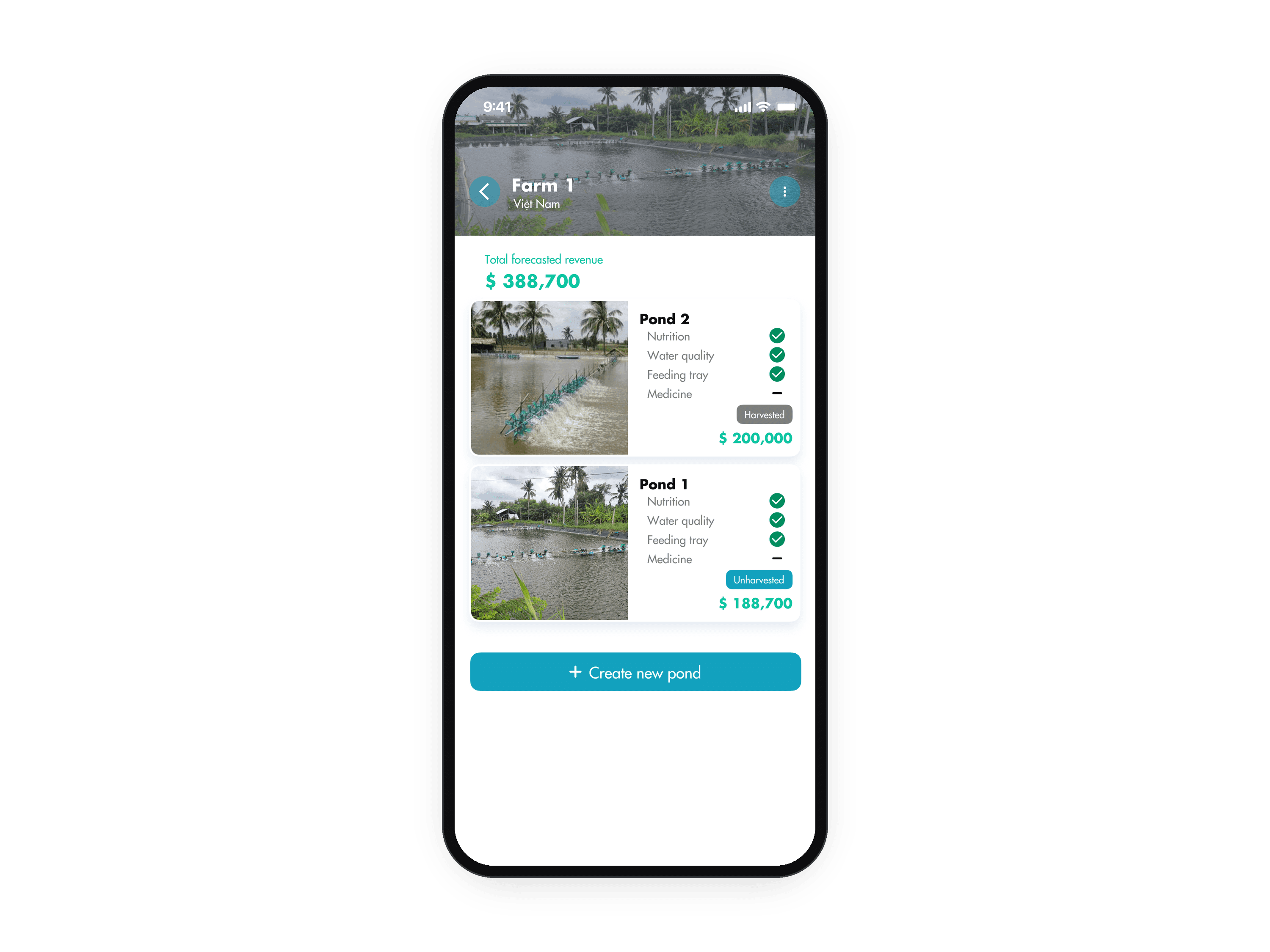 A farm page in the phone: the farm photo with its forecast revenue and a card per pond, each with a tick for every section logged that day. The animation starts on the farm list, opens Farm 1, then opens Pond 1 and lands on its pond page.