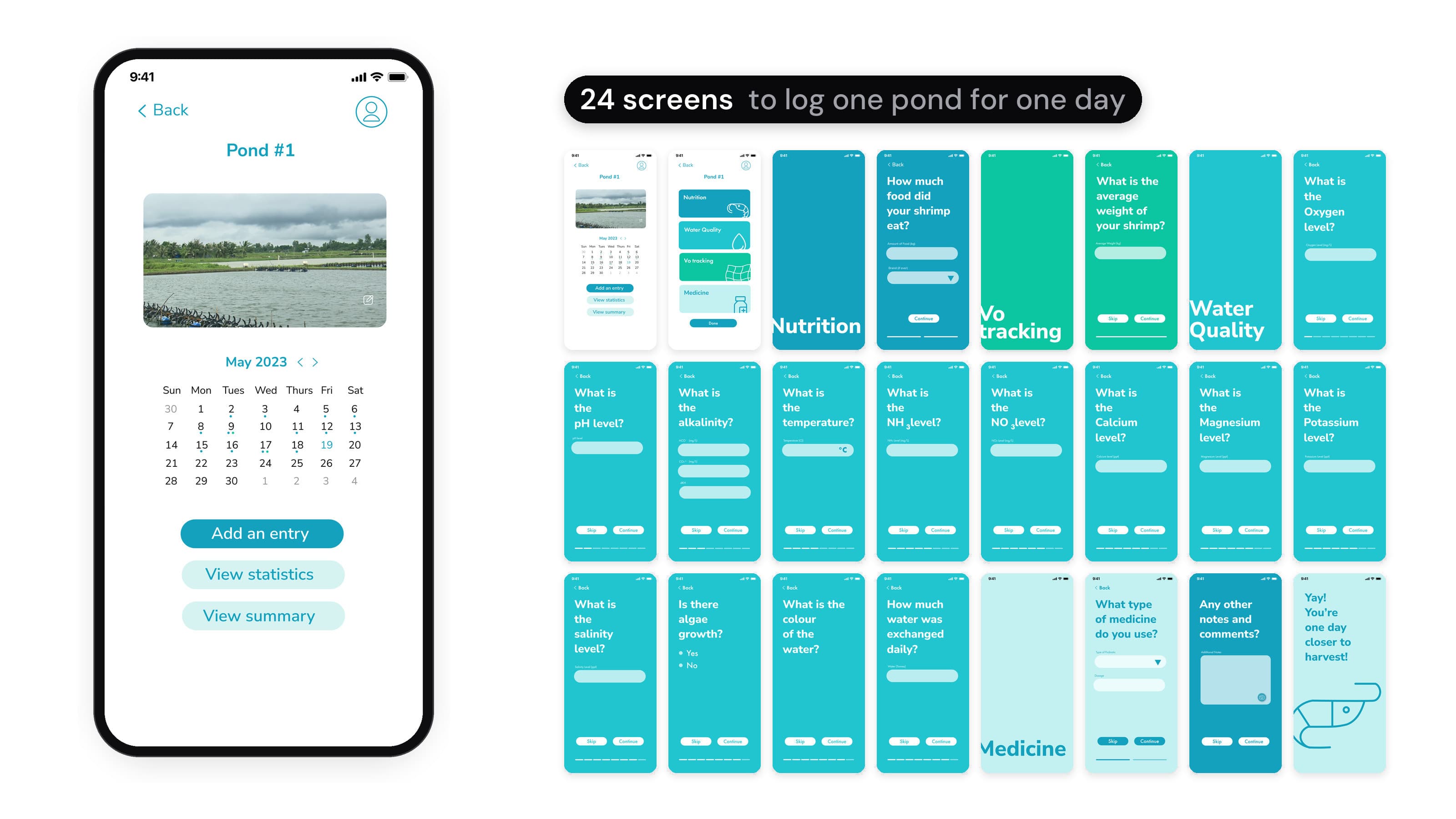 The first version of the app, built by another team. On the left, a phone steps through one day's entry: the pond page with a calendar and Add an entry, a menu of four sections, then one screen per question with Skip and Continue, such as the oxygen, pH and alkalinity levels, each section opened by a full-screen title, and a closing screen that says Yay! You're one day closer to harvest! On the right, all 24 screens side by side.